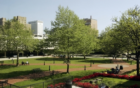 羅格斯大學(xué)紐瓦克分校 Rutgers the State University of New Jersey Newark