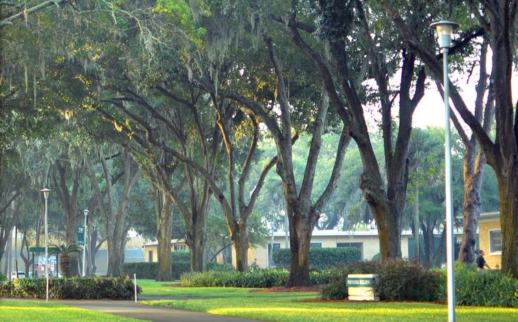 Jacksonvile University  杰克遜維爾大學(xué)