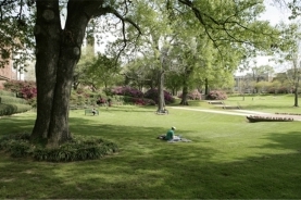 Millsaps College密爾賽普斯學院