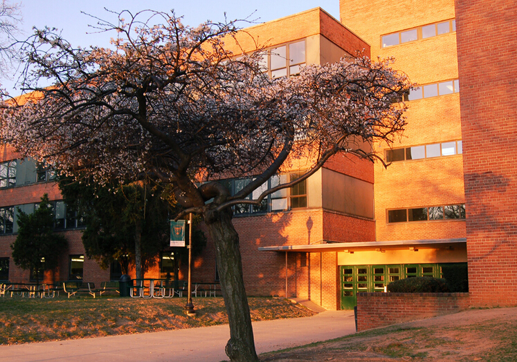 卡羅爾主教高中(Archbishop Carroll High School)