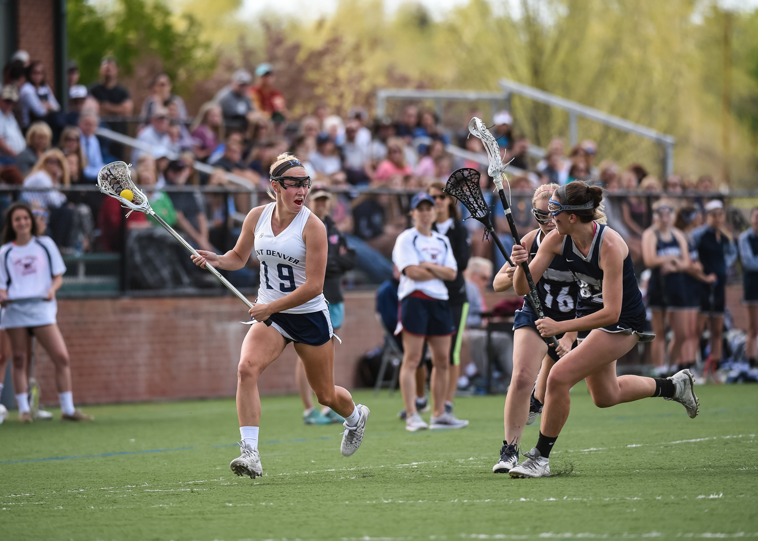 Kent Denver School | 肯特單幅學(xué)校