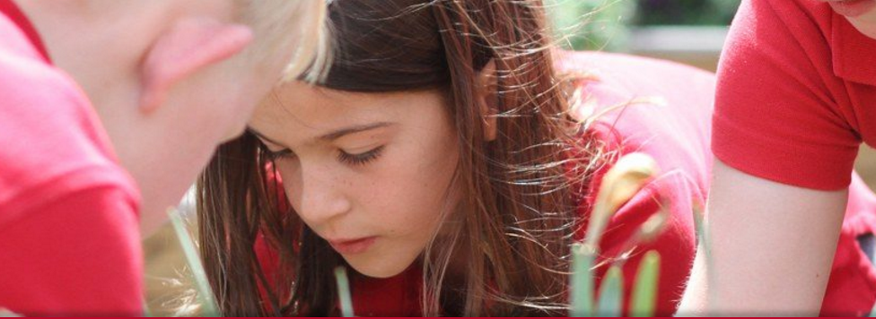 First Presbyterian Day School（第一長老日學(xué)校）