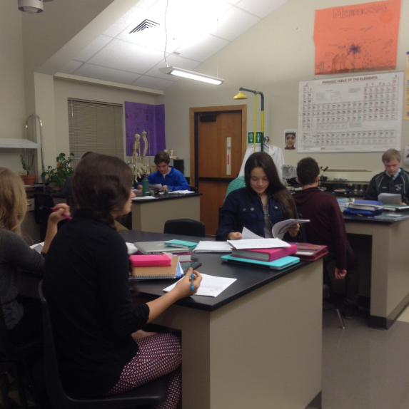 維爾山學(xué)院 (Vail Mountain School)