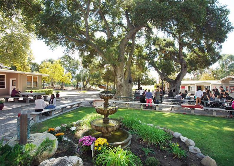 鄧恩中學(xué) Dunn School