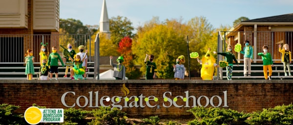 Collegiate School  聯(lián)合學校