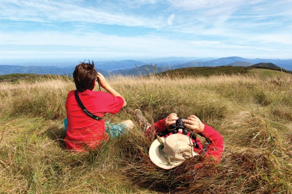 Carolina Day School 卡羅萊納日校