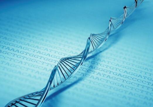 自然科學生物、生命科學