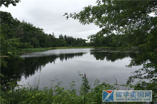 The Rectory School美國萊克里學校